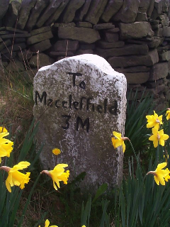 Grade 2 Listed Mile Stone